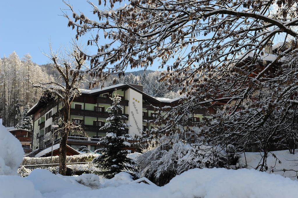 Bellavista Regio Dolomieten