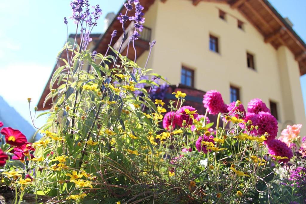 Lyshaus Regio Monte Rosa