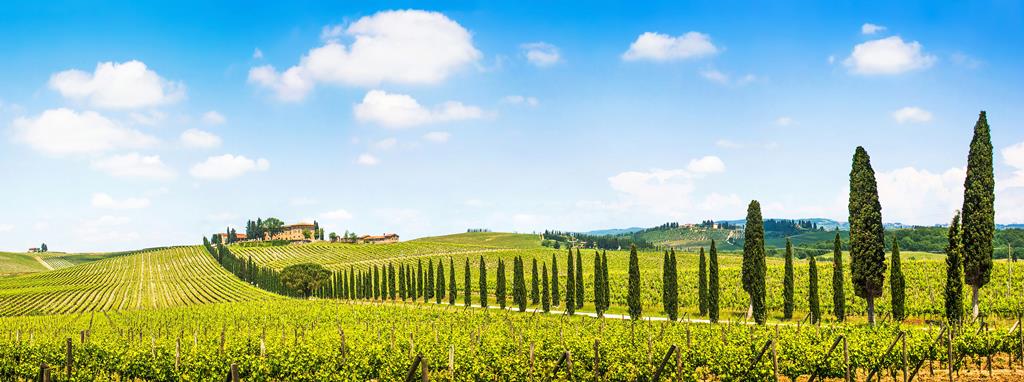 8-daagse rondreis Parels van Toscane Regio Toscane